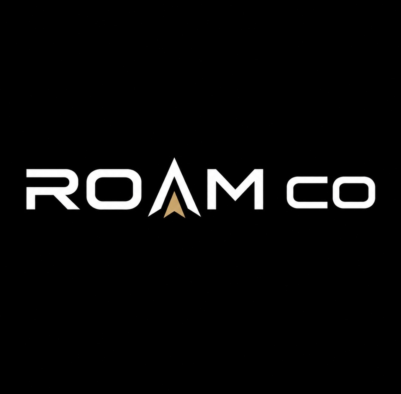 ROAM CO